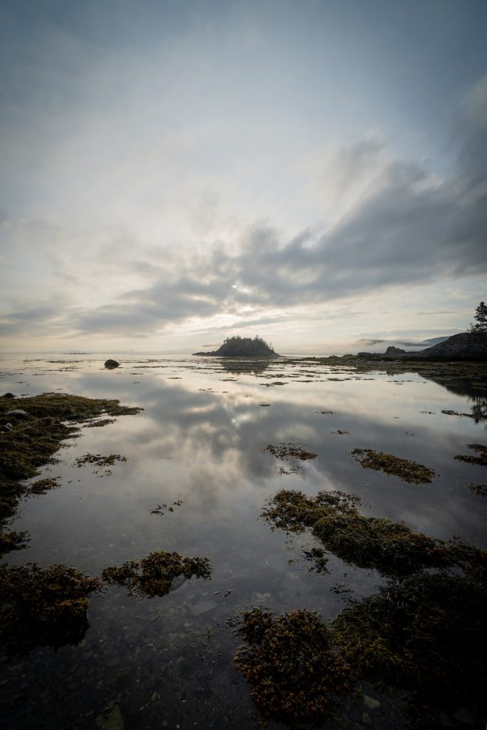 Güncel Sohbet Odaları